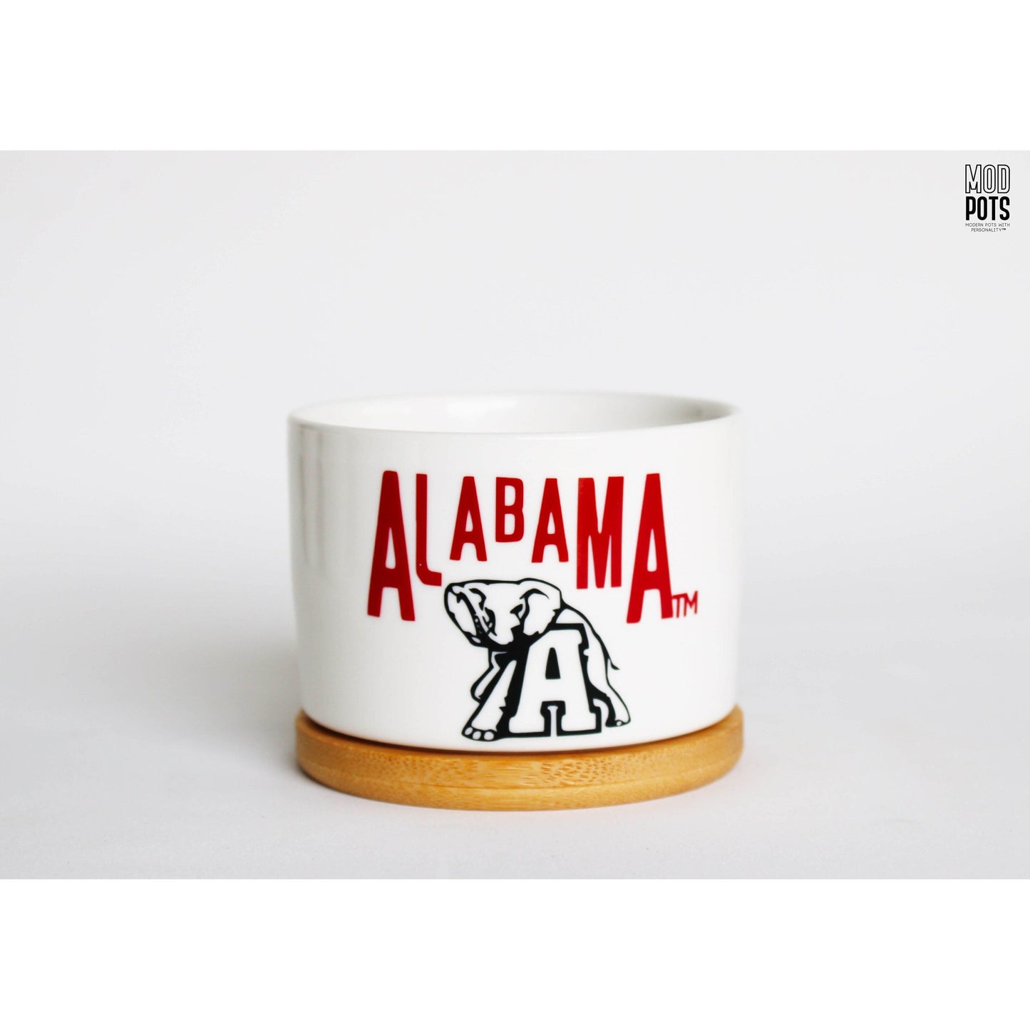 Alabama & Elephant