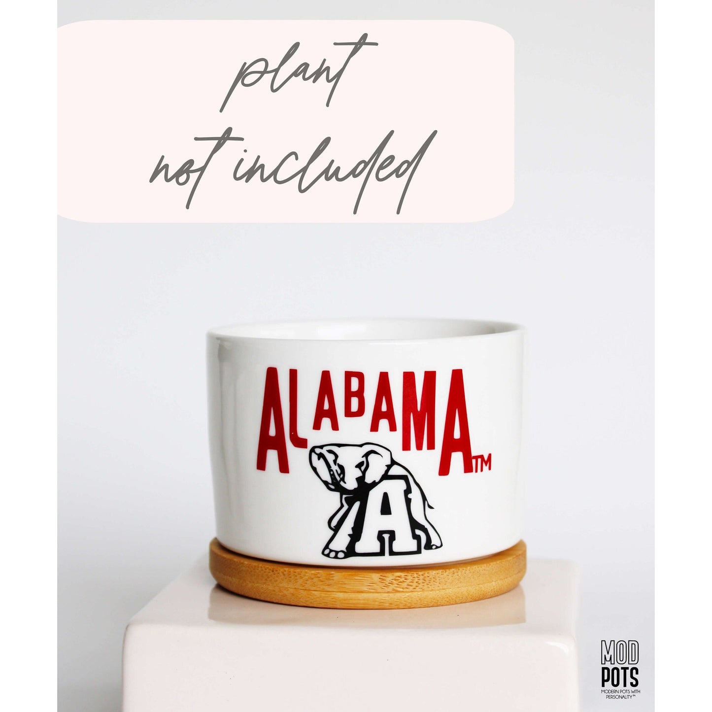 Alabama & Elephant