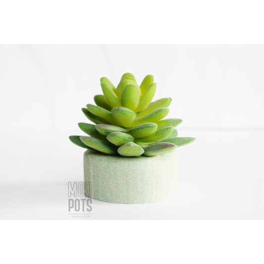 Faux Succulent Package Includes Gift Box & Foam Insert