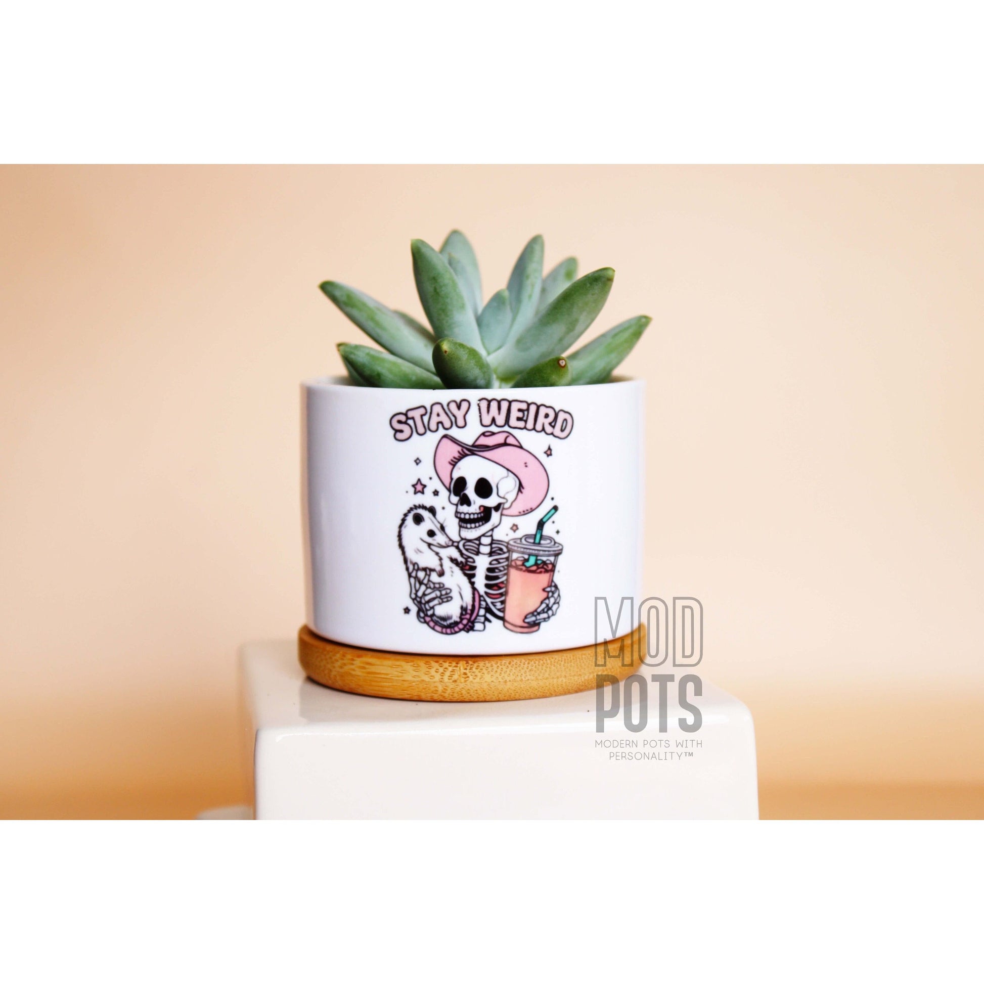 weird pots for plants Stay Weird (skeleton) – Mod Pots Shop