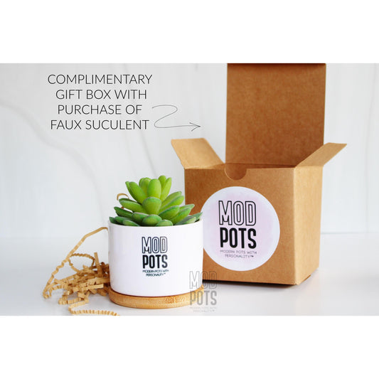 Faux Succulent Package