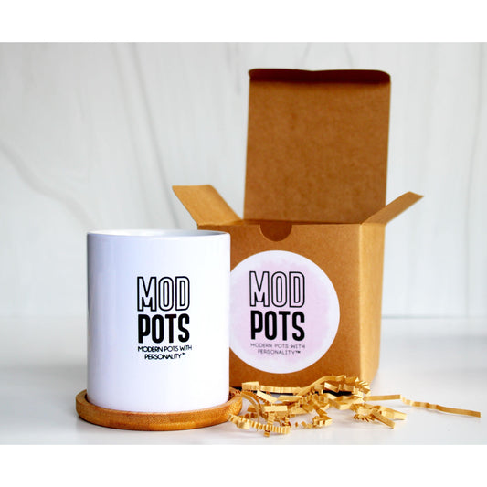 Mod Pots Branded Gift Box for Tall Mod Pot