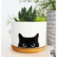 Peeking Cat Pot