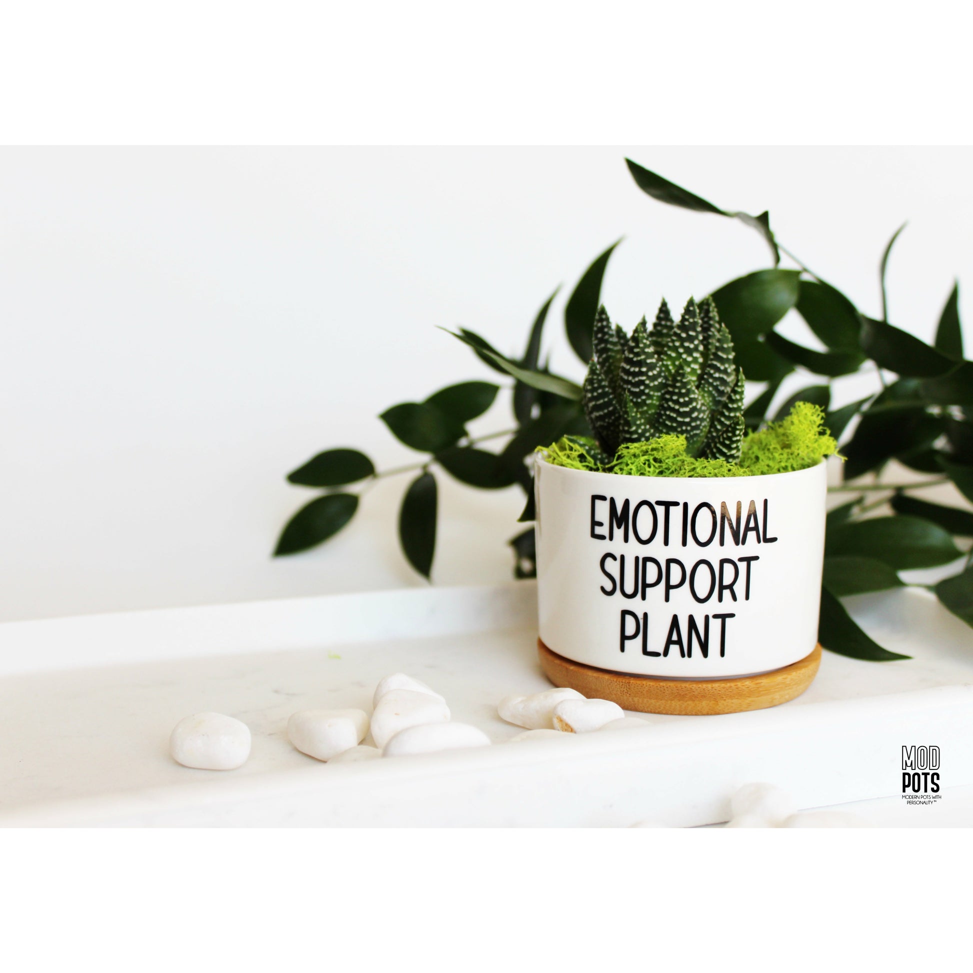 plant pot that shows emotions Emotional Support Plant – Mod Pots Shop