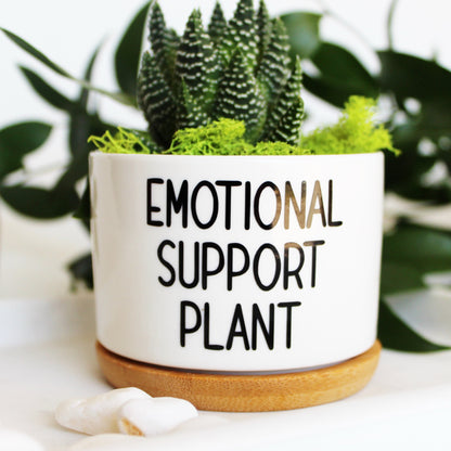 plant pot that shows emotions Emotional Support Plant – Mod Pots Shop