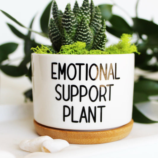 Emotional Support Plant