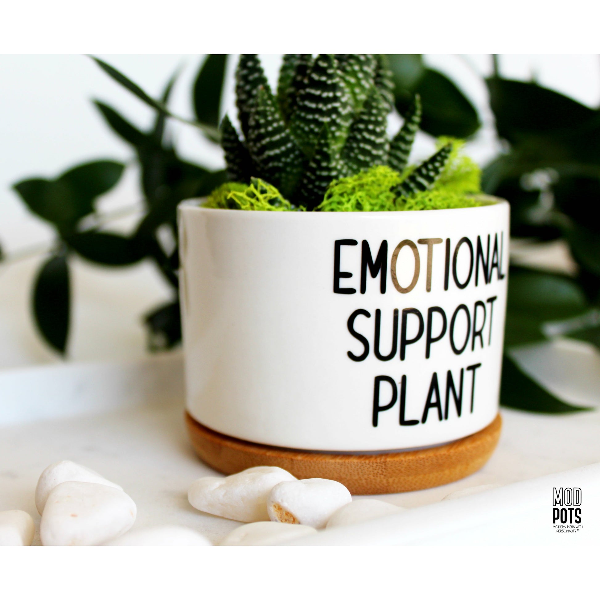 plant pot with emotions Emotional Support Plant – Mod Pots Shop