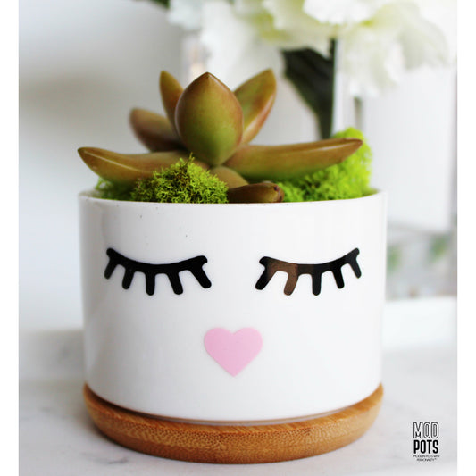 Eyelashes Pot