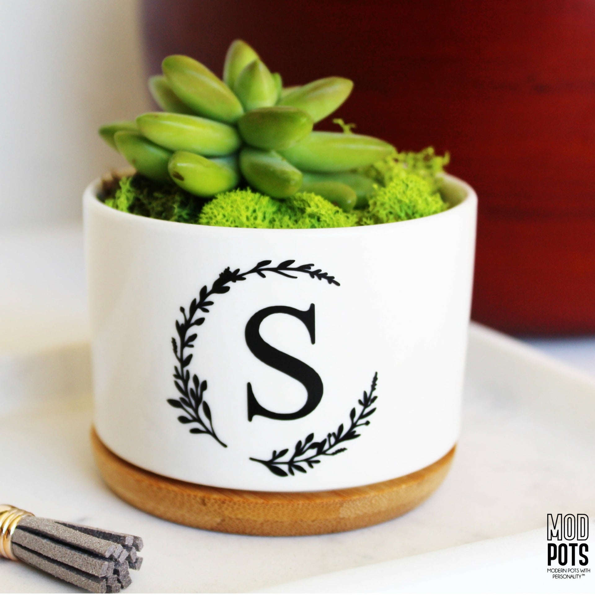 initial succulent planter Initial Pot