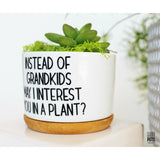Instead of Grandkids May I Interest You in a Plant