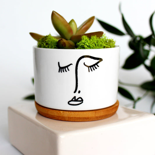 Picasso Pot