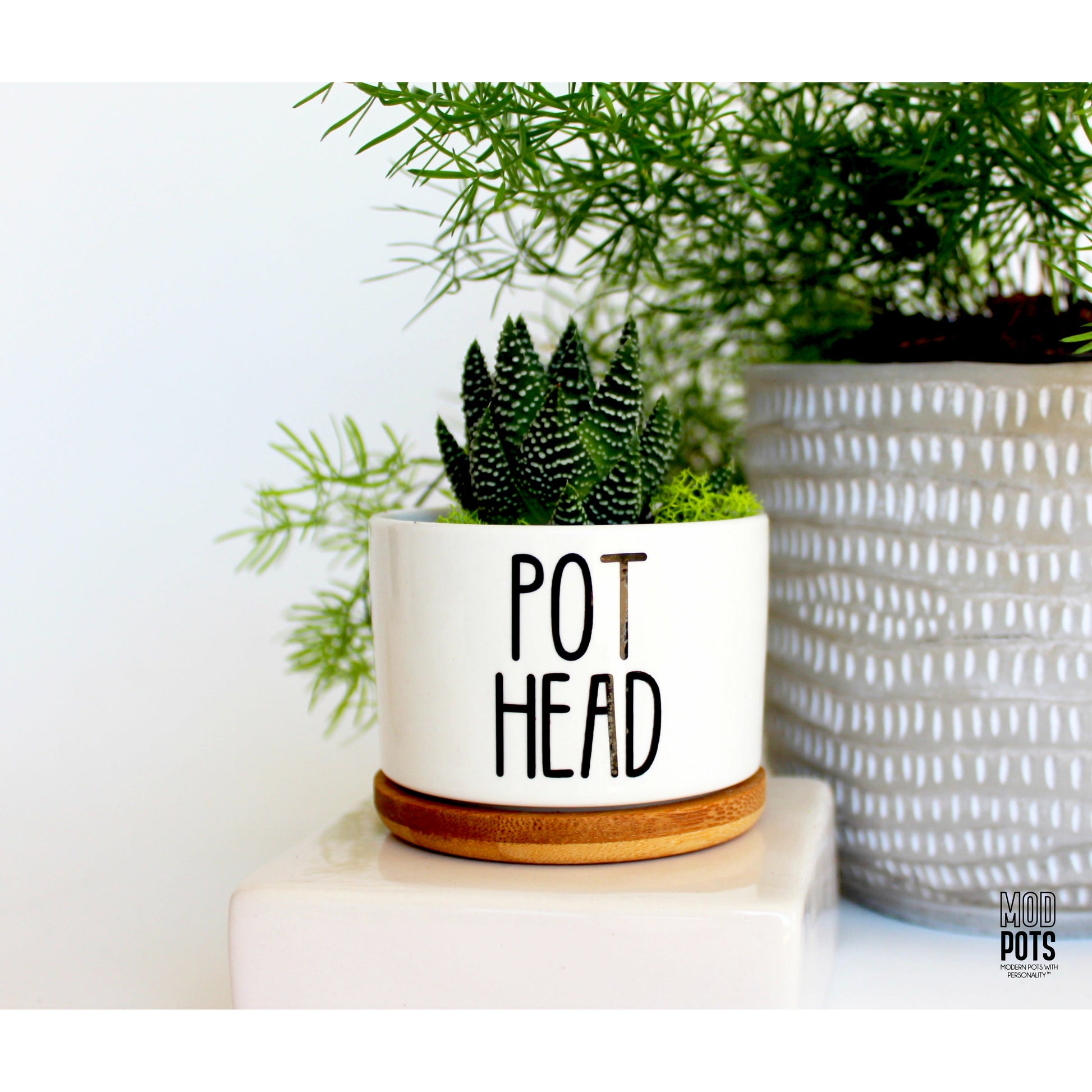pothead products Pot Head (Modern Font) – Mod Pots Shop