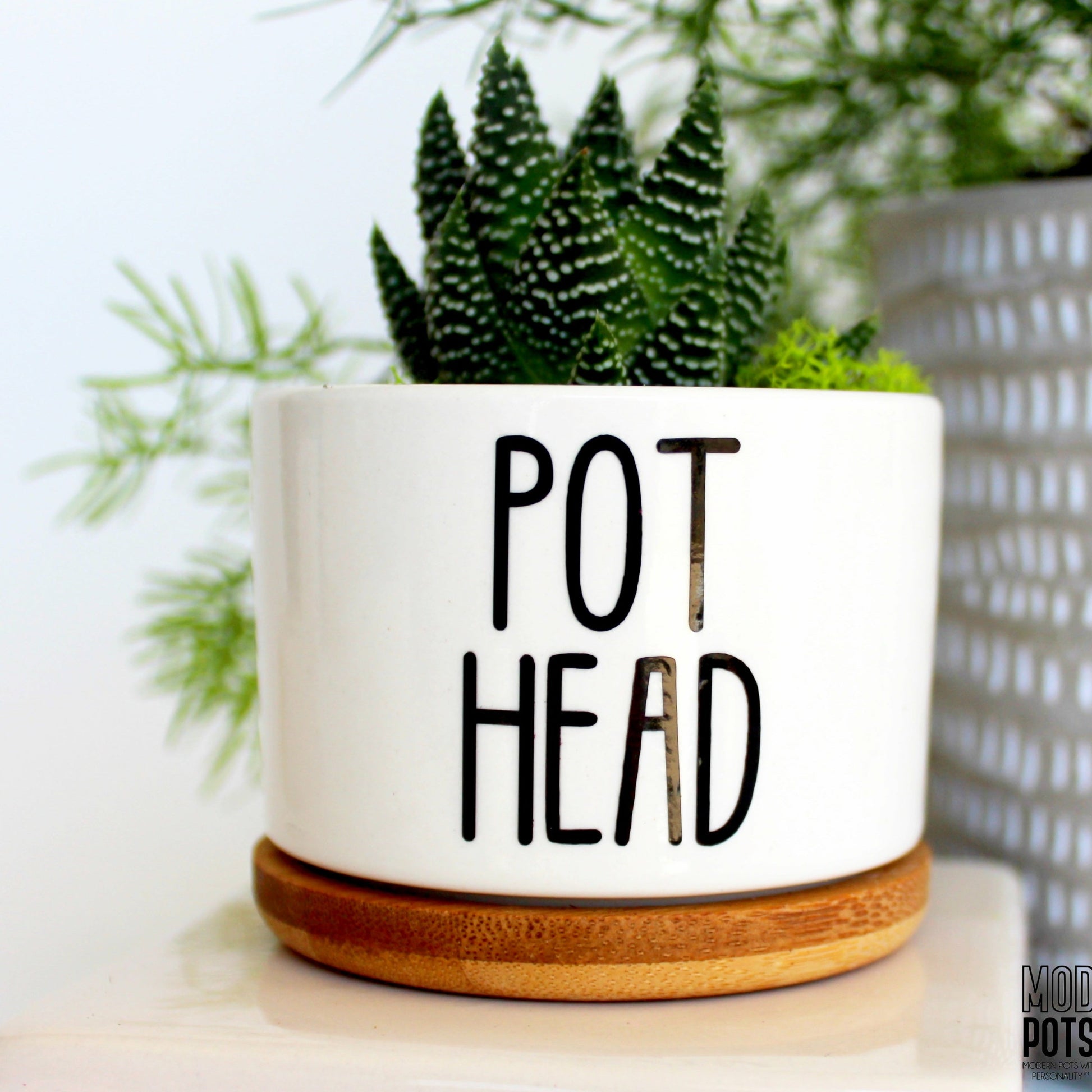 pothead personality Pot Head (Modern Font) – Mod Pots Shop