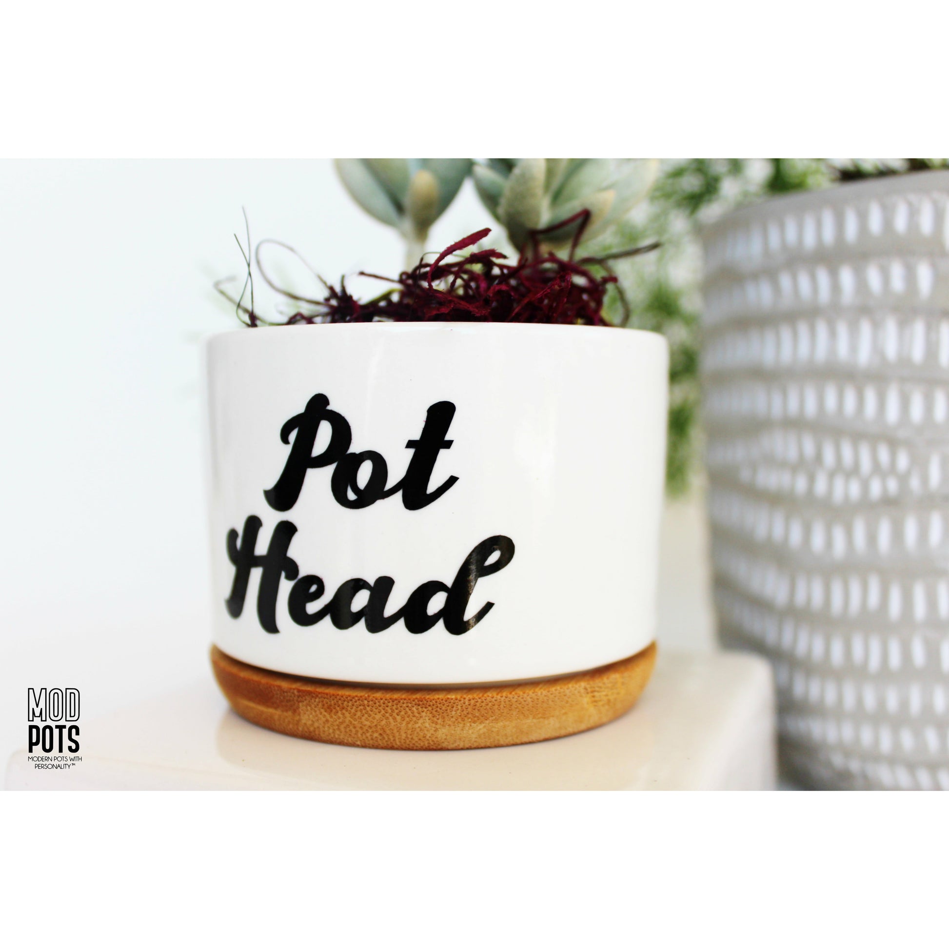 pothead personality Pot Head (groovy font) – Mod Pots Shop