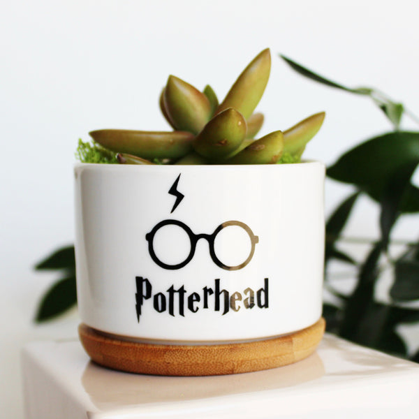 Potterhead Pot