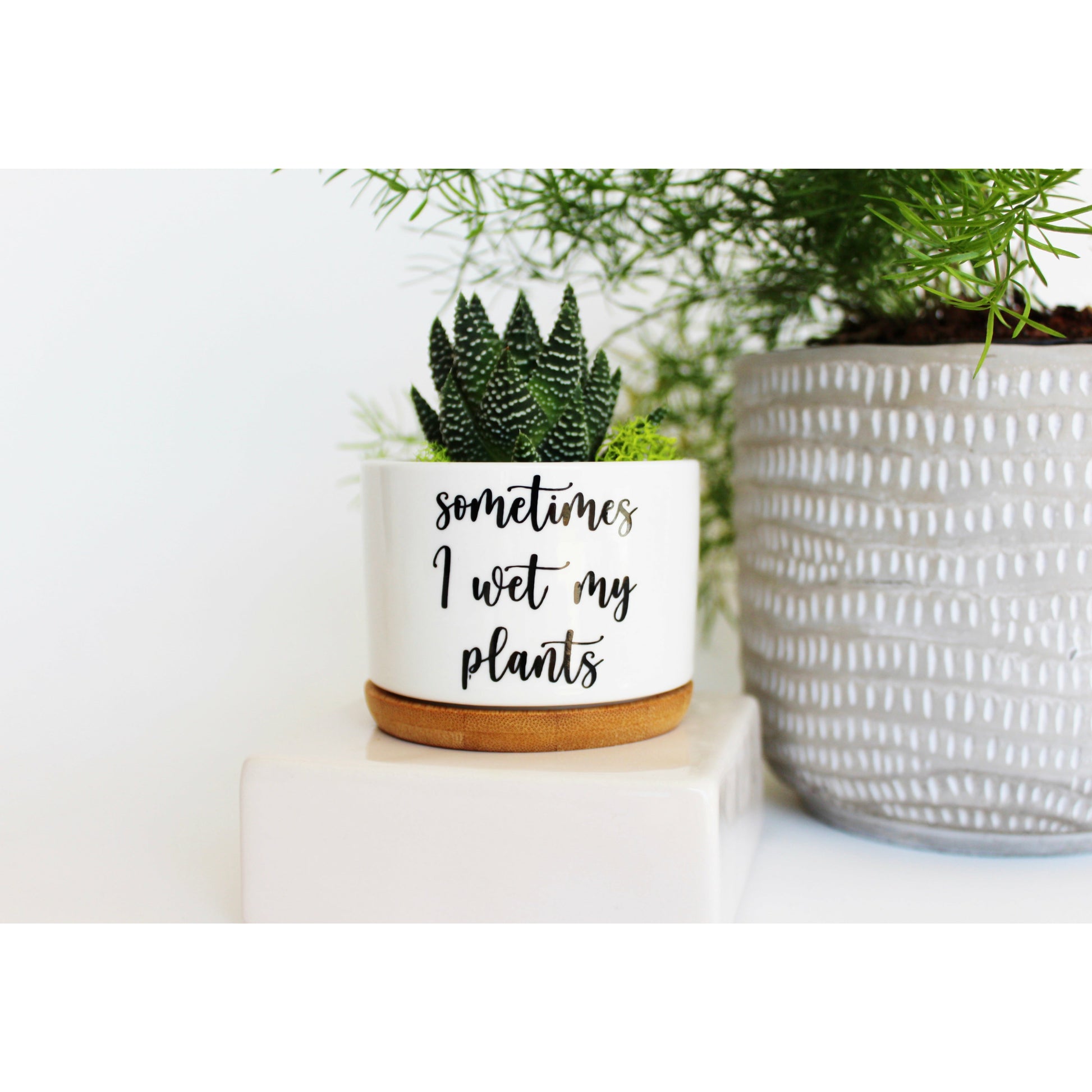 always keep me moist plant pot Sometimes I Wet My Plants (cursive font) – Mod Pots Shop