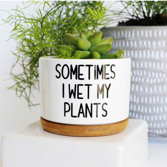 Sometimes I Wet My Plants (print font)