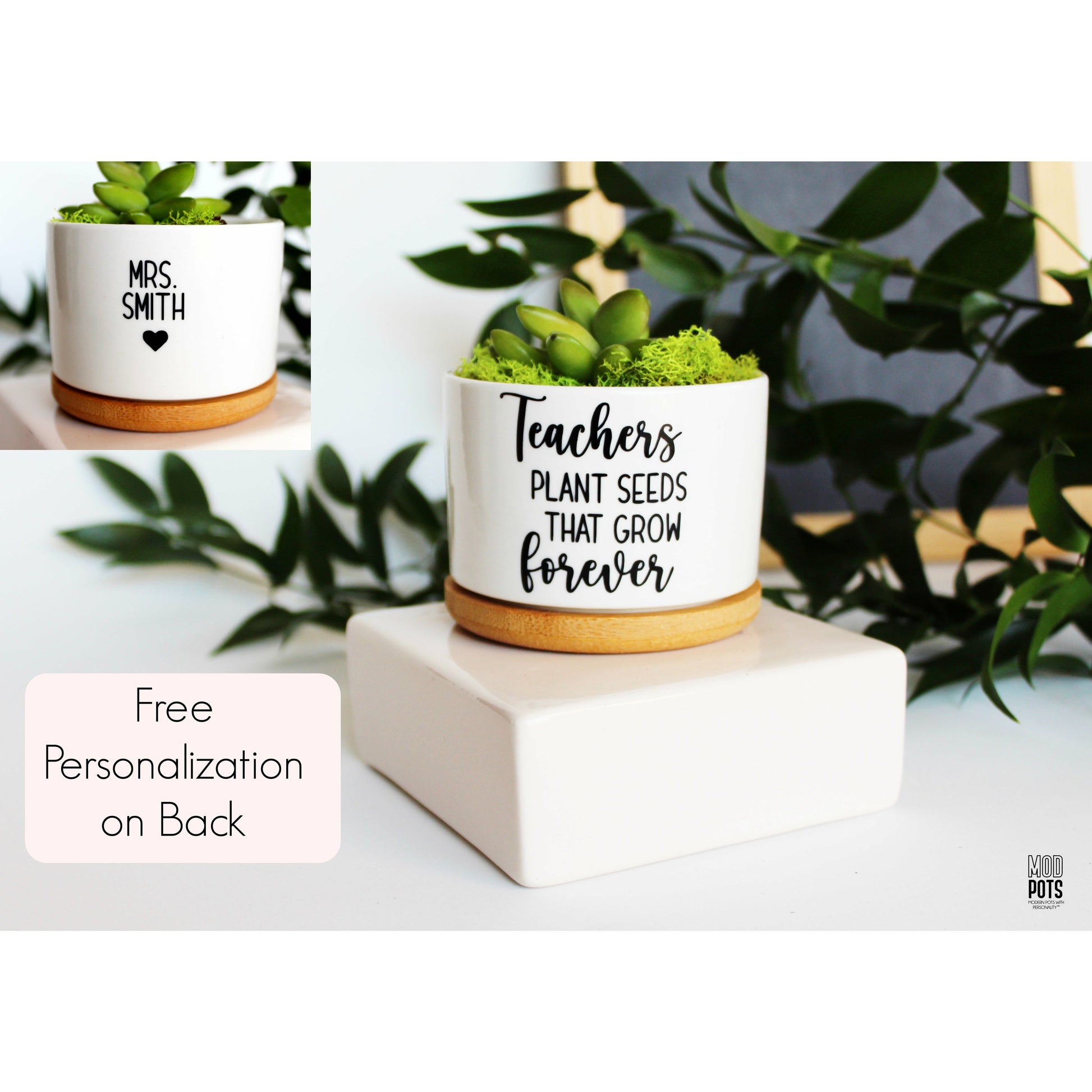 a teacher plants seeds that grow forever Teachers Plant Seeds That Grow Forever – Mod Pots Shop