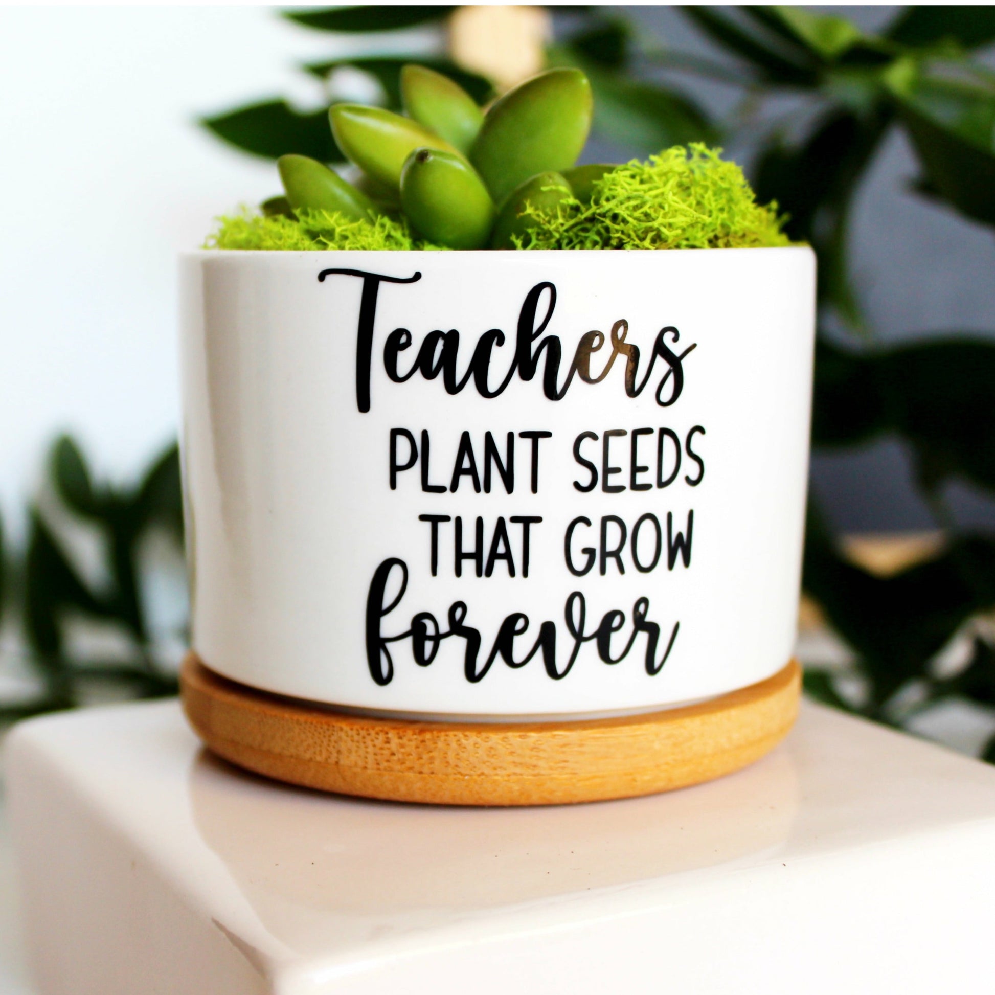 teachers plant the seeds that grow forever Teachers Plant Seeds That Grow Forever