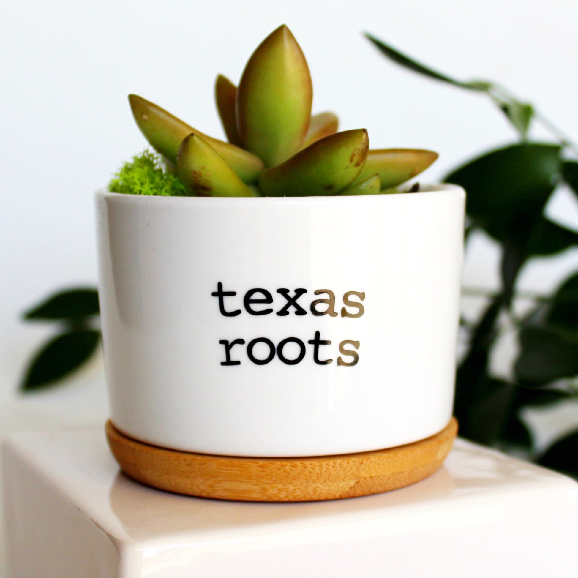 texas planter pots Texas Roots – Mod Pots Shop