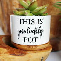 This is Probably Pot™