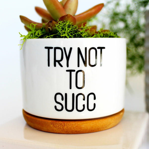 Try Not To Succ