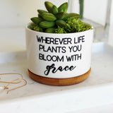 Wherever Life Plants You Bloom with Grace