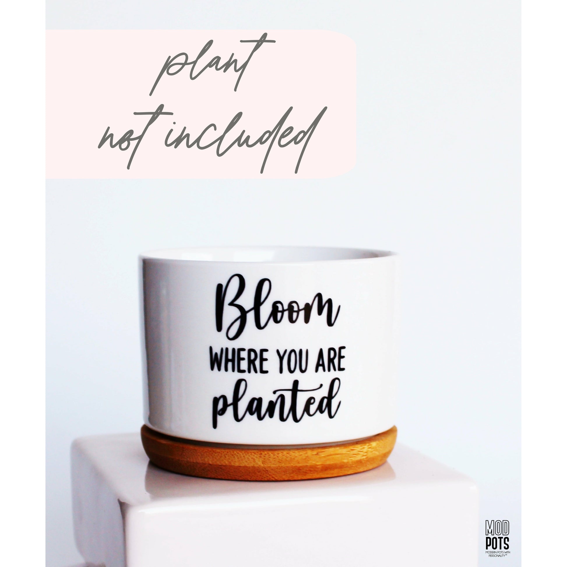 grow where you are planted pot Bloom Where You Are Planted – Mod Pots Shop